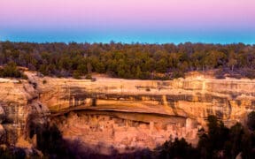 A photo of Mesa Verde National Park cliffs and canyon topped with trees.