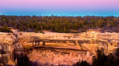 A photo of Mesa Verde National Park cliffs and canyon topped with trees.