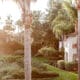 The outdoor grounds of Four Seasons Residence Club Aviara, with palm trees, a landscaped lawn and shrubbery.