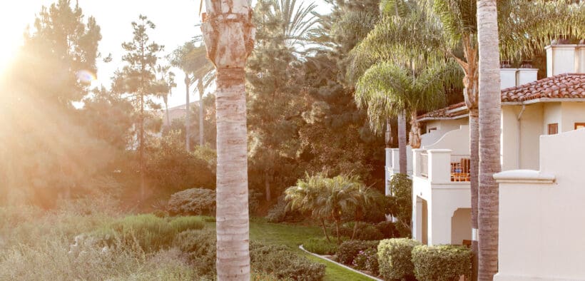 The outdoor grounds of Four Seasons Residence Club Aviara, with palm trees, a landscaped lawn and shrubbery.