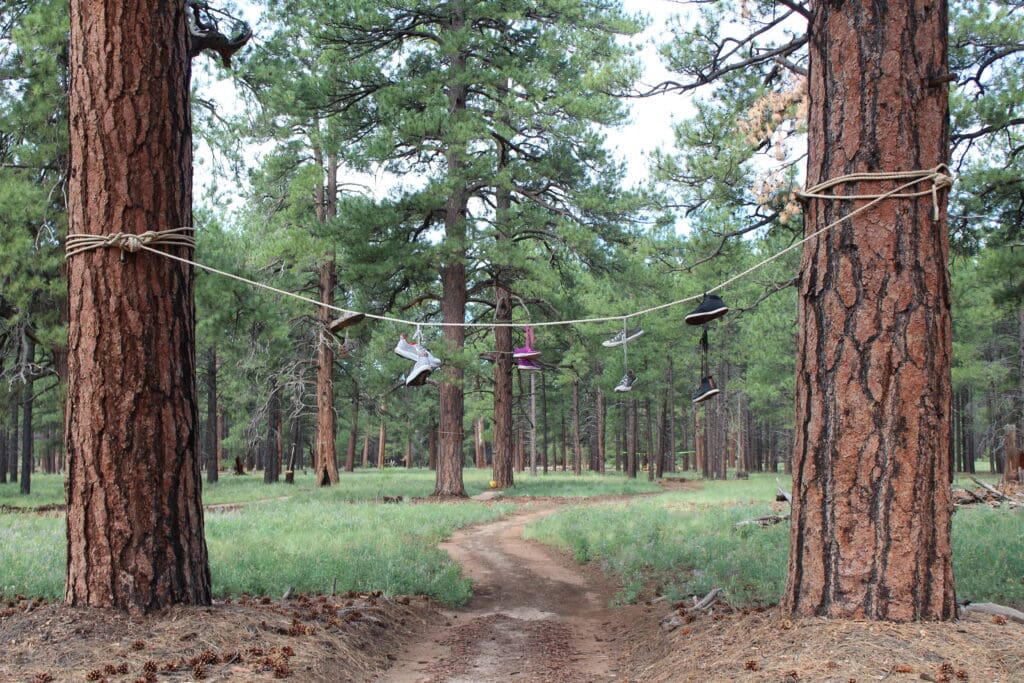 Pairs of shoes are strung on a rope between two large trees on the Barefoot Trail in Flagstaff.
