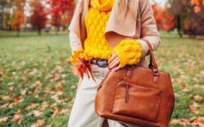 Close up of a stylish woman holding a fall bag wearing a sweater in autumn park.