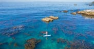An aerial view of a Laguna Beach reef with a paddle boarder.