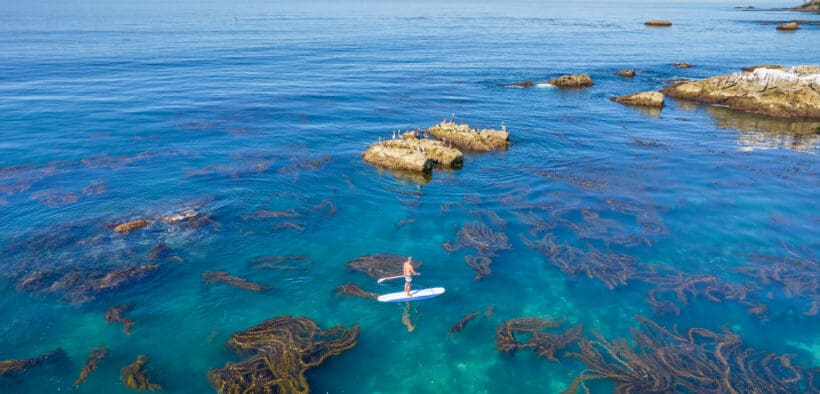 An aerial view of a Laguna Beach reef with a paddle boarder.