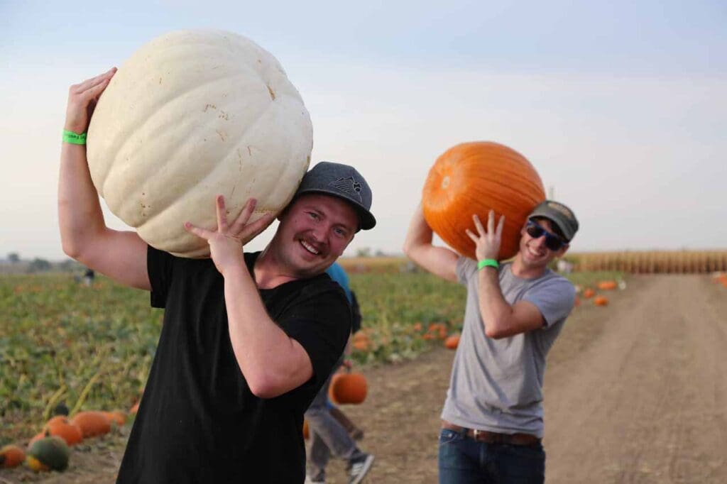 One man carries a giant white pumpkin on his shoulder with another man behind him carrying an orange pumpkin on his shoulder at Anderson Farms pumpkin patch.