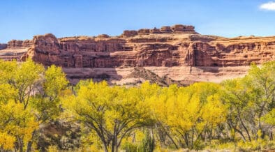 A photo of Moab in Autumn in Canyon Arches National Park Moab, Utah, with Fall foliage.