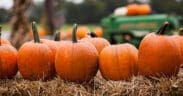 Pumpkins lined up on hay bales with a John Deere tractor in the background.