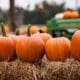Pumpkins lined up on hay bales with a John Deere tractor in the background.