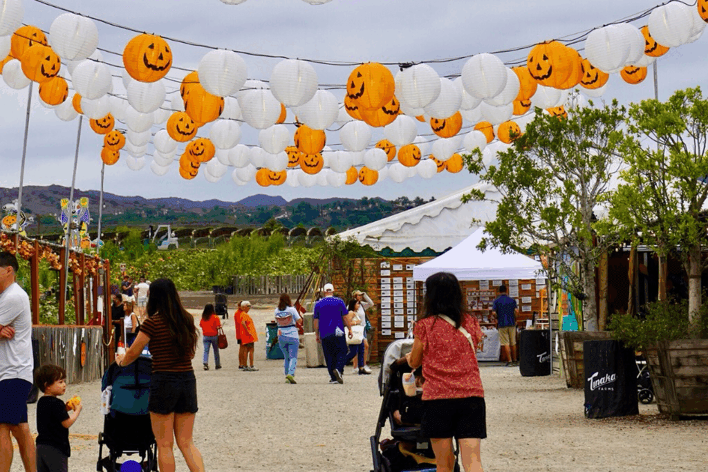 A group of people, including moms with strollers, children and families, walk Tanaka Farms with pumpkin lights strung above.