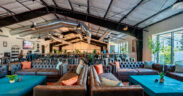 Formation Brewing with turquoise tables, couches and booths with plants and large windows.