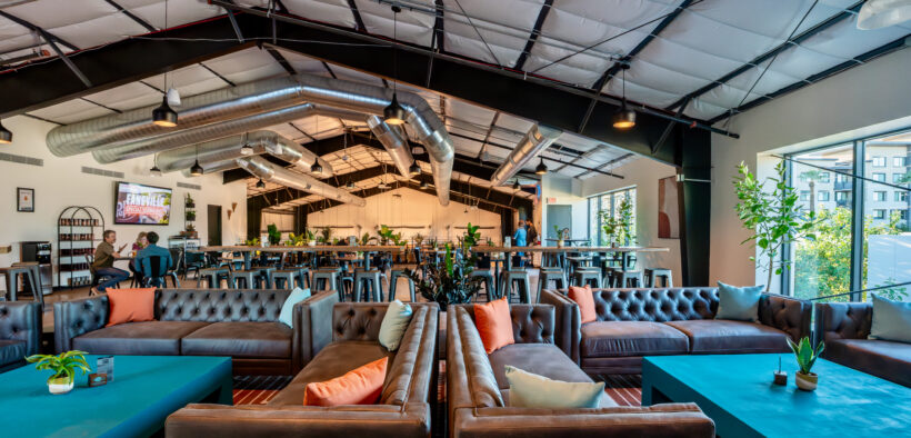 Formation Brewing with turquoise tables, couches and booths with plants and large windows.