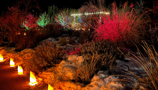 A row of farolitos and lit up trees for La Luz de las Noches at the Santa Fe Botanical Garden.