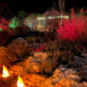 A row of farolitos and lit up trees for La Luz de las Noches at the Santa Fe Botanical Garden.