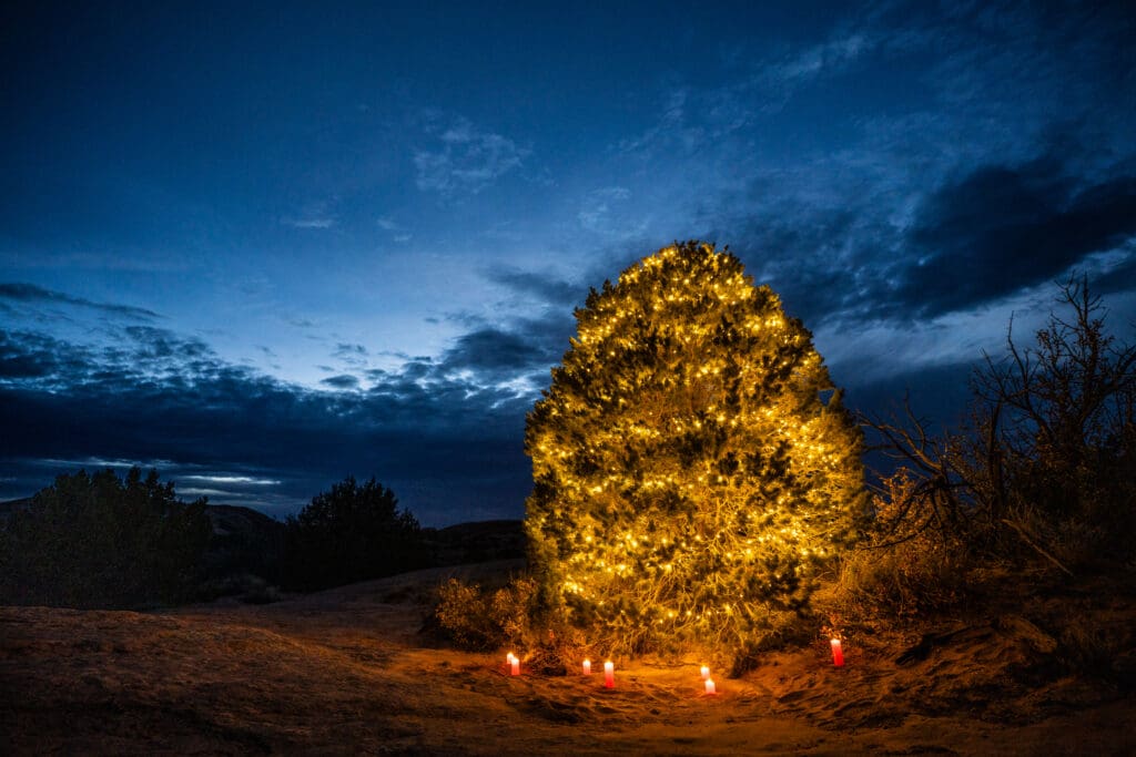 A centuries-old Utah Pinyon Pine in the Sand Flats Recreation Area lit by solar-powered, dark-sky-compliant lights.