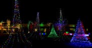 A Christmas light display of several trees in Orem, Utah.