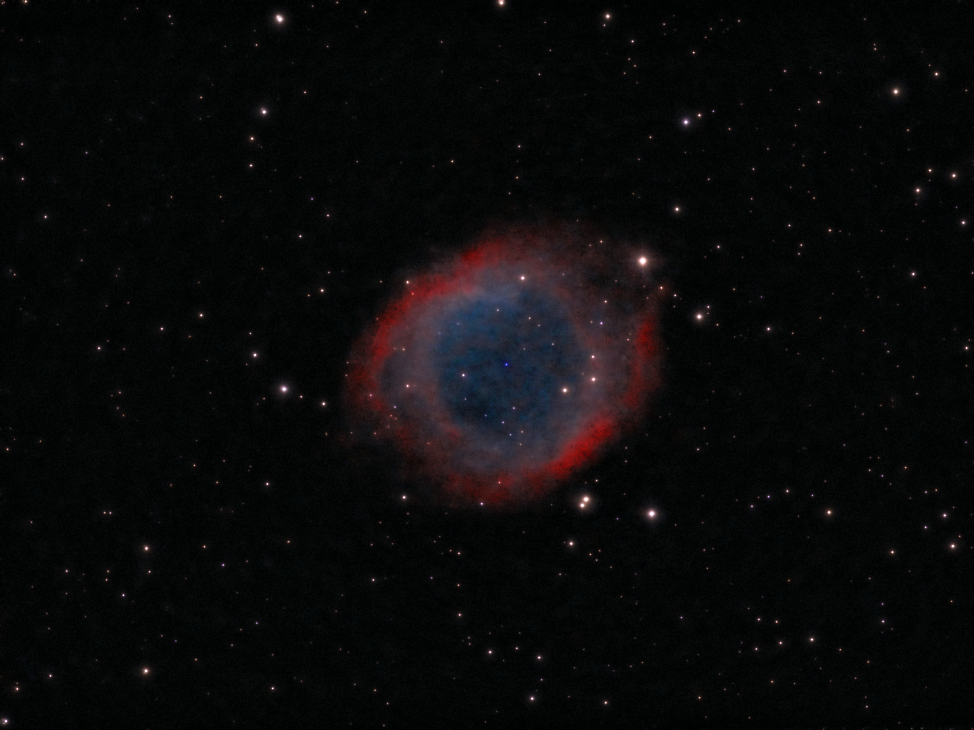Image of a celestial body through an eVscope during a Dark Skies Astronomy Tour.
