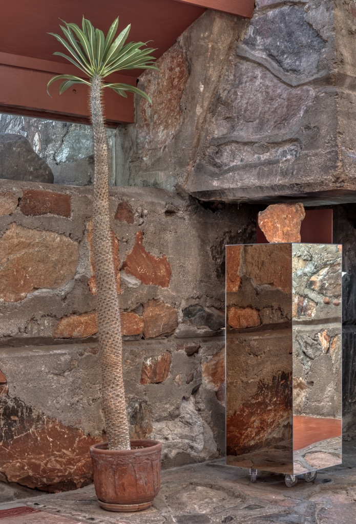 A potted palm tree is placed next to a mirror sculpture by 